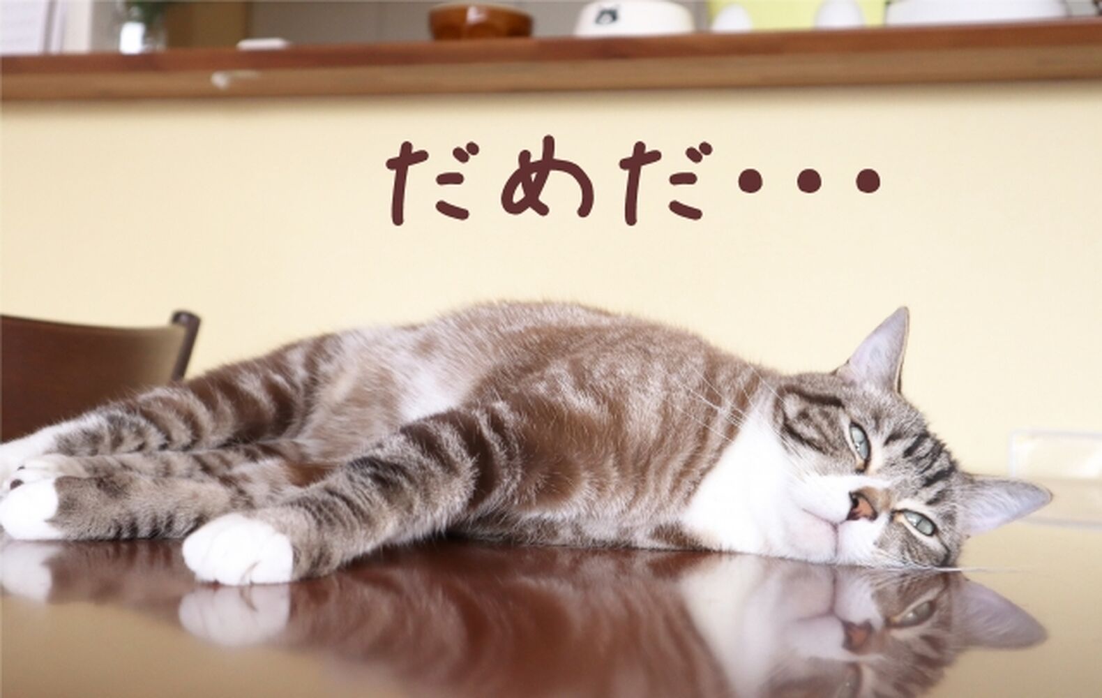 画像7210