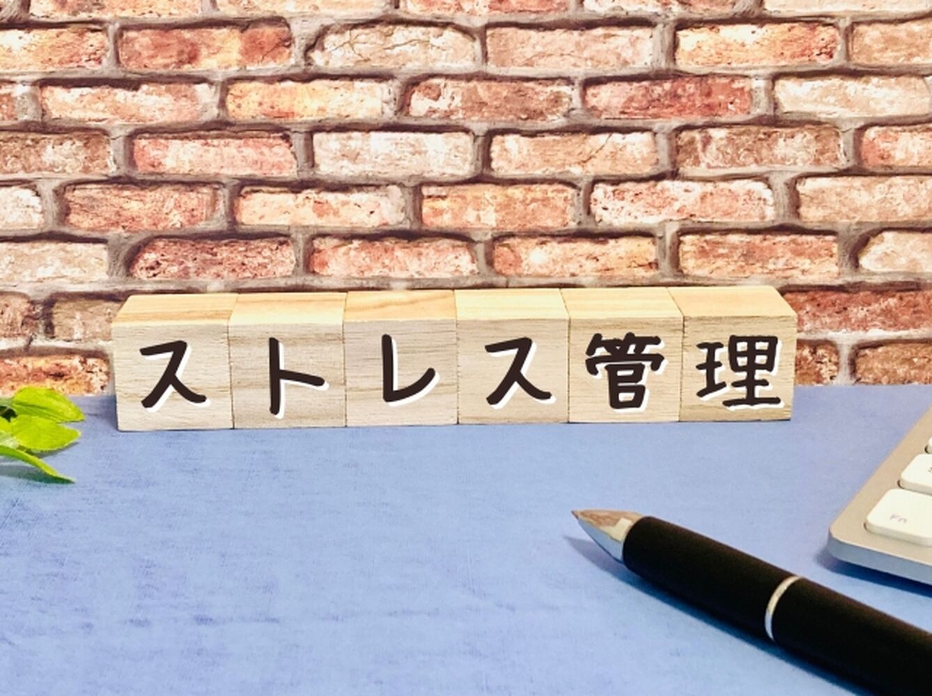 画像7712
