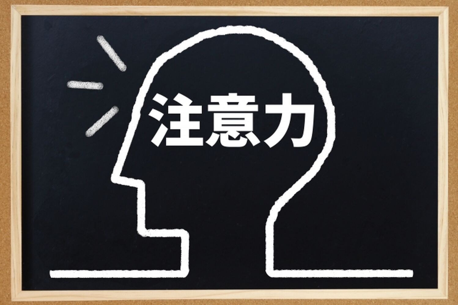 画像8660