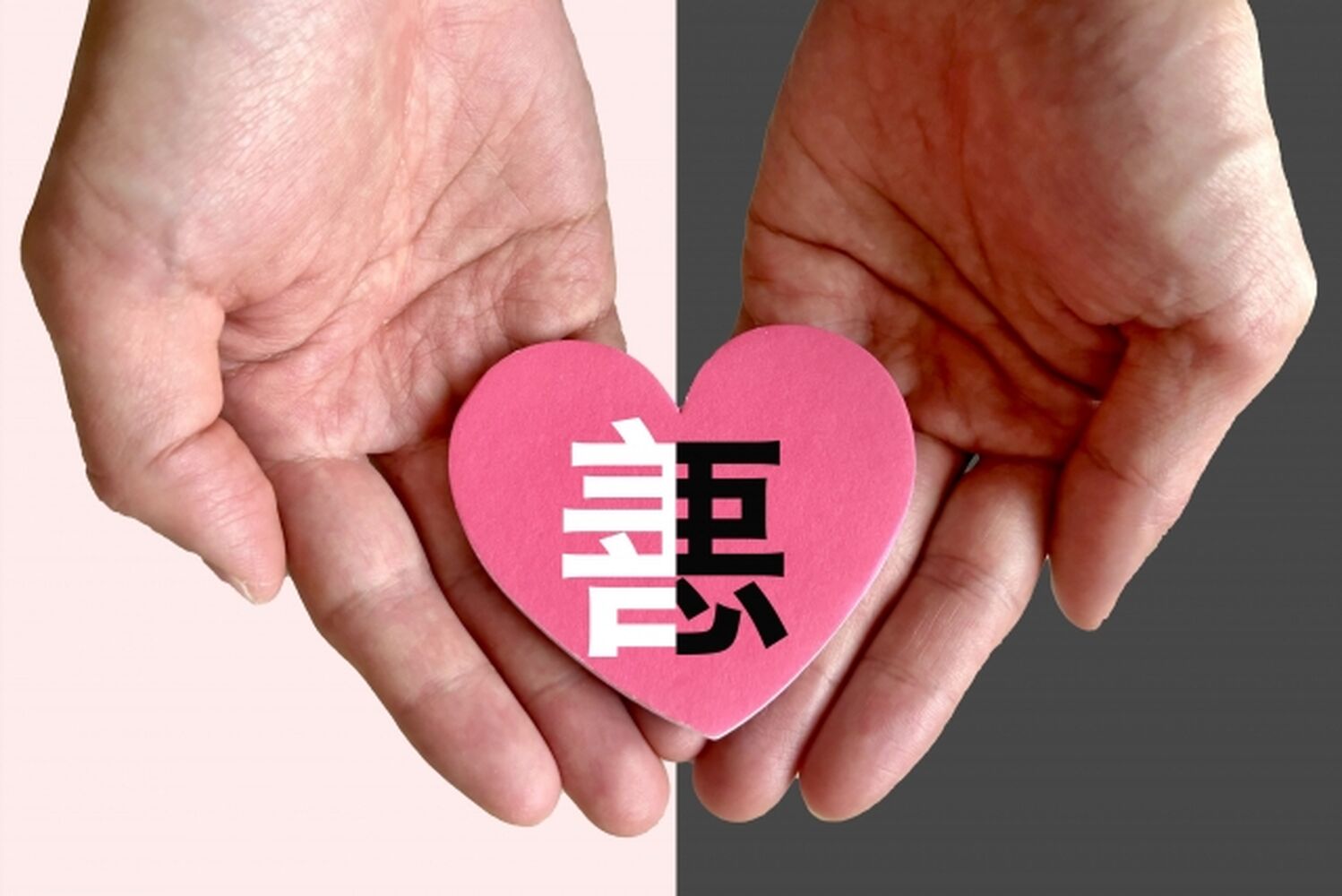 画像8663